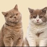 Photo de Michel VINCENDEAU